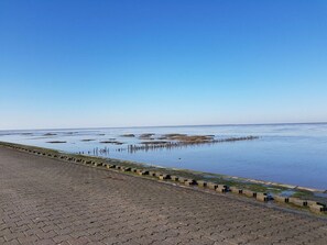 House | Beach - Olaf - Ferienhof Thies (Wangerland)