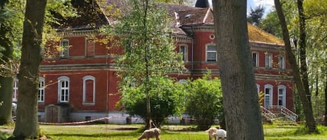 Maison | Extérieur