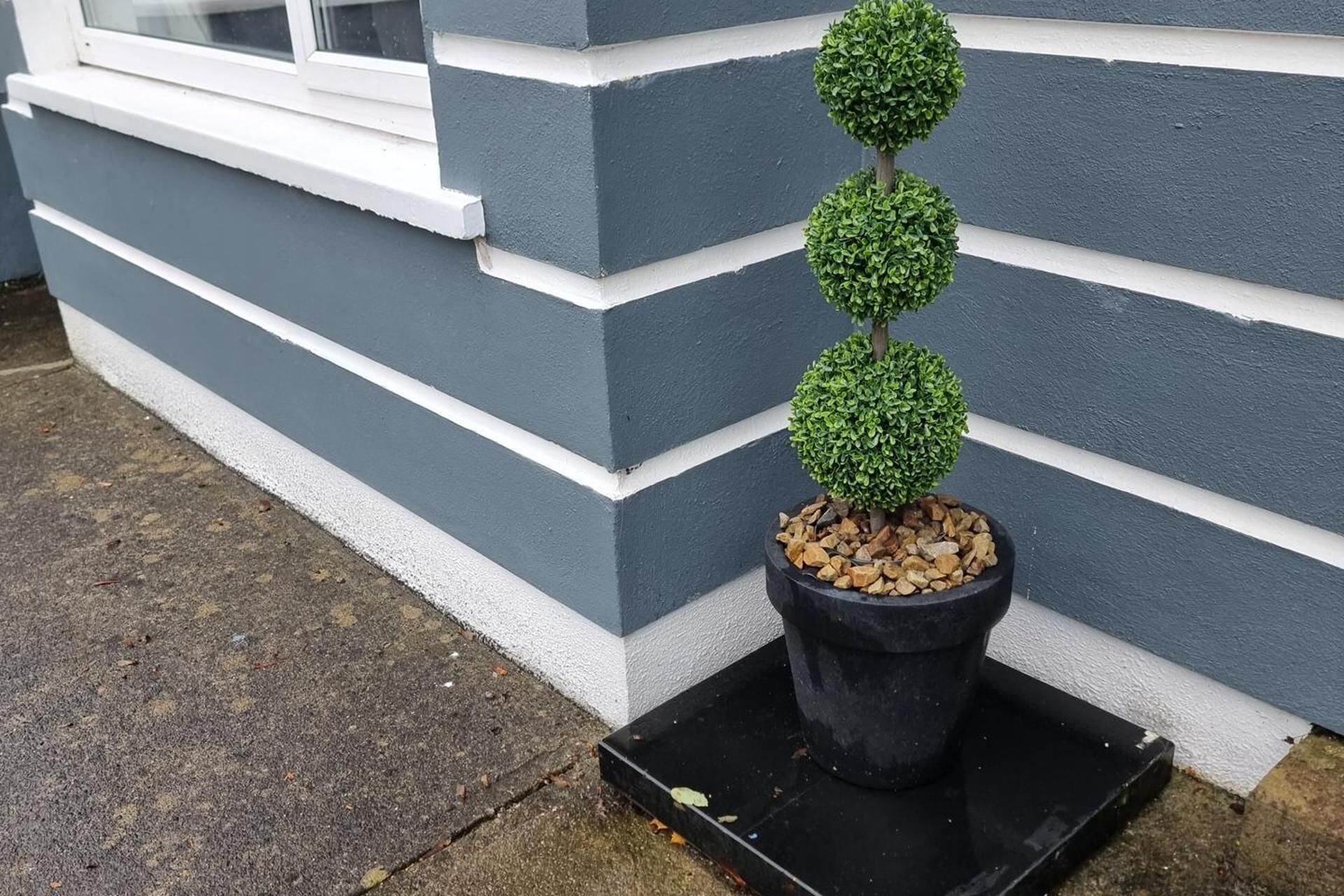 A potted topiary tree with a black pot on a black stand, placed against a grey and white wall.