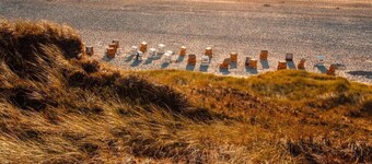 Grune Dune Comfortable Holiday Residence