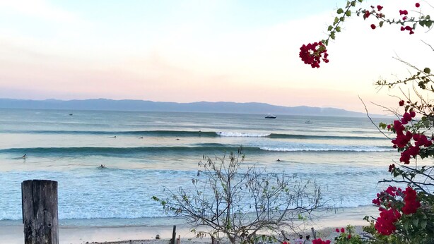 A beach with a wooden fence, a path leading to the water, and red flowers in the foreground. - Charming rooftop bungalow 1 block from the beach! (Corral del Risco)