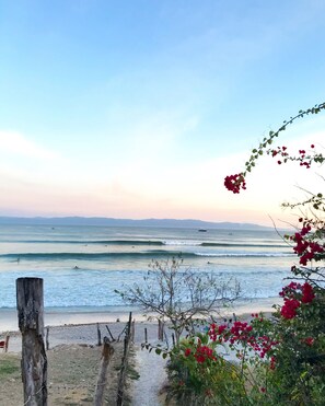 A beach with a wooden fence, a path leading to the water, and red flowers in the foreground.