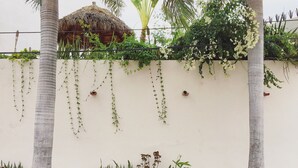 A white wall with hanging vines and a thatched-roof structure. - Charming rooftop bungalow 1 block from the beach! (Corral del Risco)