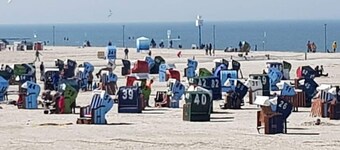 Kleine Mowe Comfortable Holiday Residence