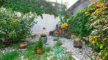 Villa | Property grounds