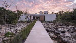 Un bâtiment moderne avec un chemin en béton menant à une entrée en porte de verre, entouré d’un terrain rocheux et d’une végétation clairsemée.