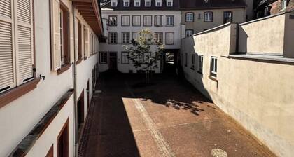 Duplex hyper centre calme parking Confort 5* sans vis Ă vis