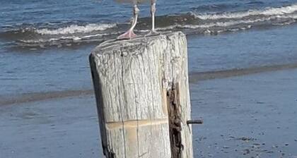 Anchorage Comfortable Holiday Residence