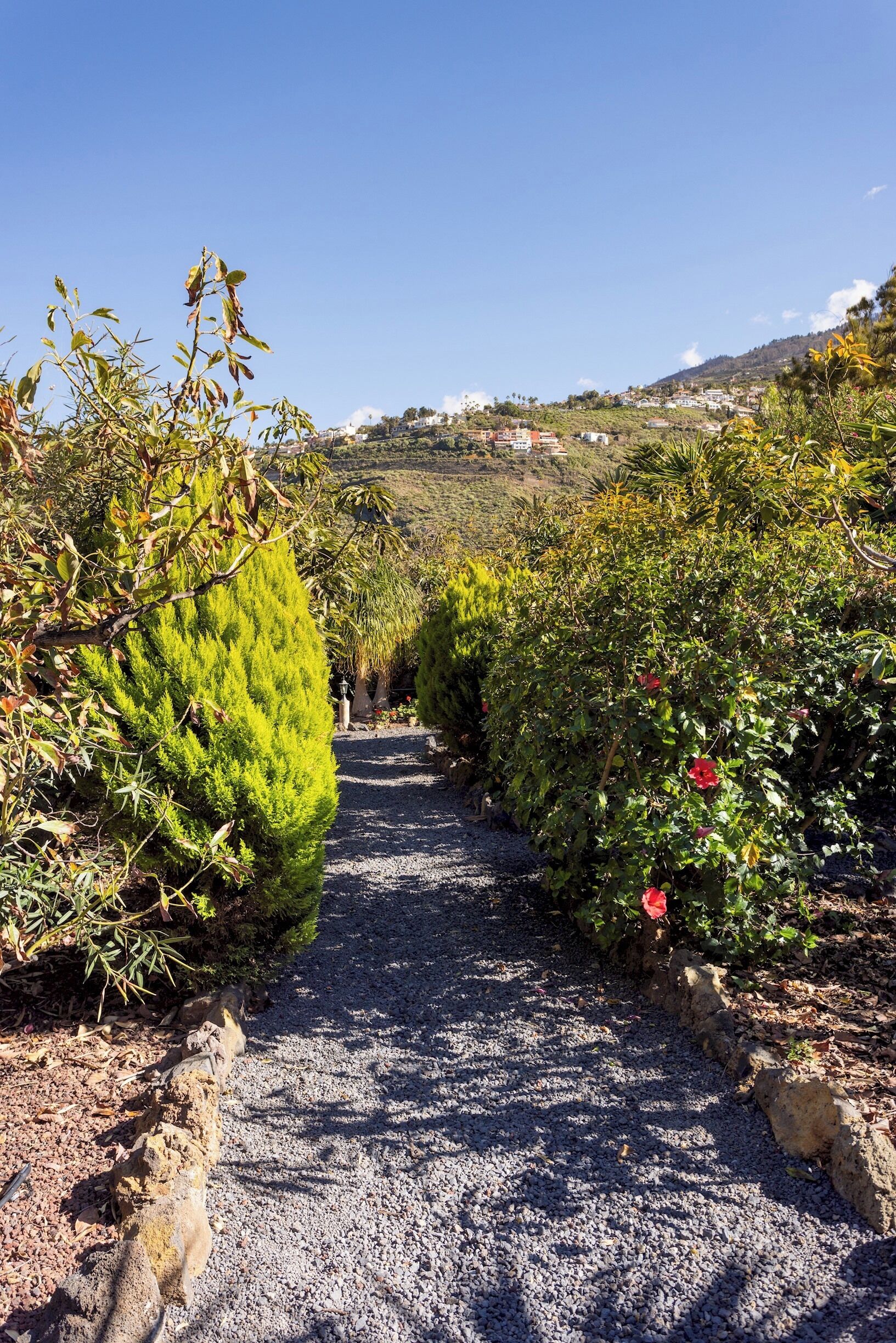 A gravel path flanked by green shrubs and red flowers, leading towards a hillside with houses.