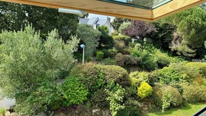 A garden with various types of plants and a stone wall. - Les oliviers room, quiet and bright (Fouesnant)
