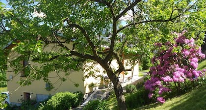 Bonstein Comfortable Holiday Residence