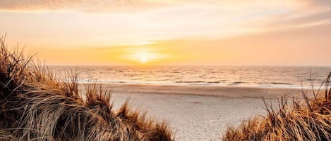 House | Beach