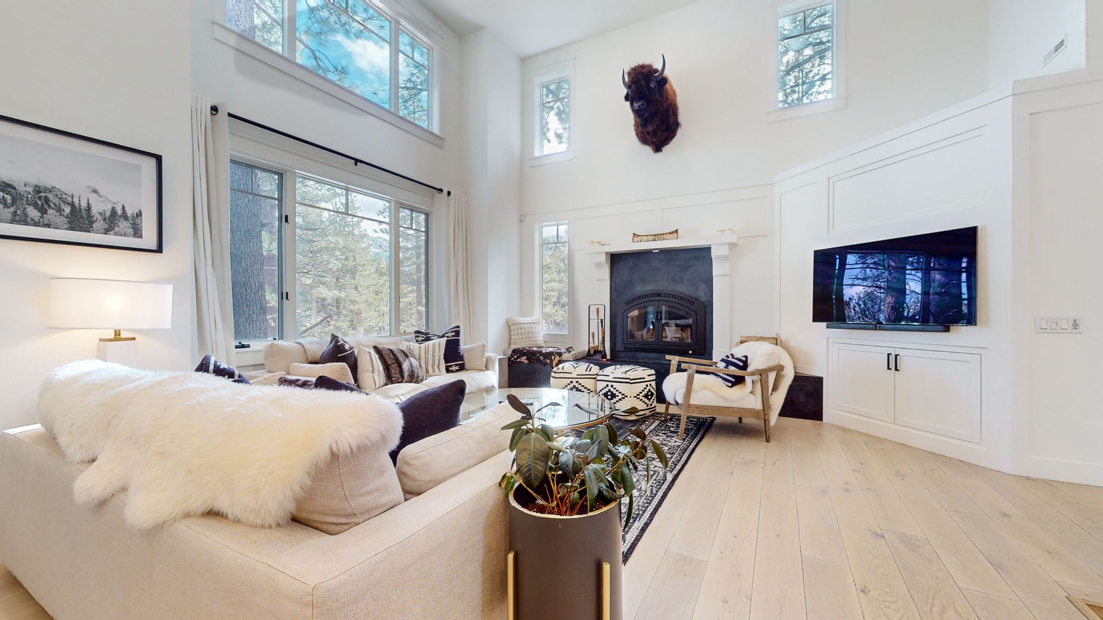 TV, fireplace, video games, offices