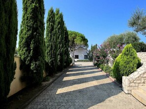 Villa | Exterior - Magnificent Villa Clara With big Pool (Zadar)