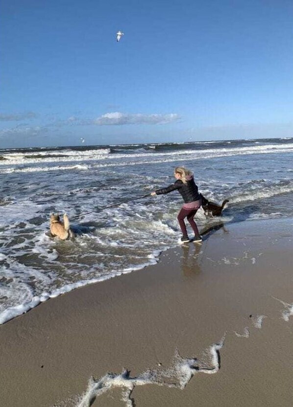 Strand