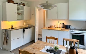 Fridge, oven, stovetop, dishwasher