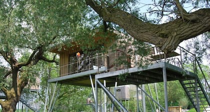 Treehouse Jojo Comfortable Holiday Residence