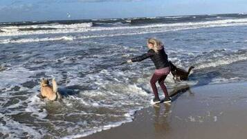 Casa mobile | Spiaggia