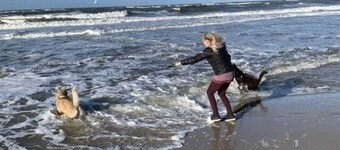 Sylter Meerholz Comfortable Holiday Residence