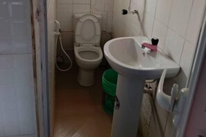 Shower, towels, soap, toilet paper