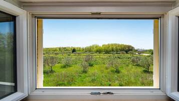 House | View from property