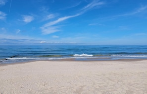海灘