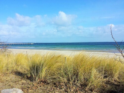 Raphael - "elvis Presley"