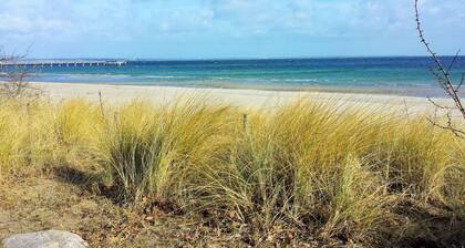 Raphael - "elvis Presley"