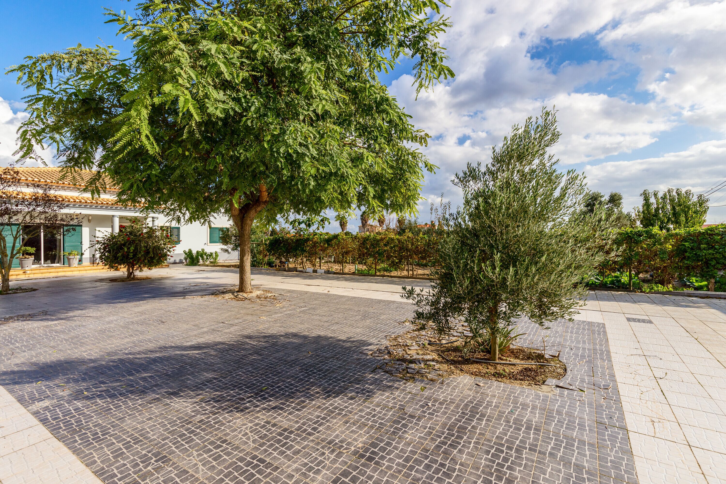 Terrein van de accommodatie