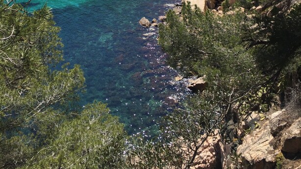 A coastal area with clear turquoise waters, a sandy beach, and a forested hillside. - Holiday Home 'Villa La Veleta On Costa Brava' with Sea View, Private Pool and Wi-Fi (Begur)