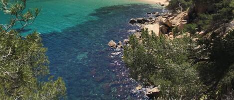 بالقرب من الشاطئ