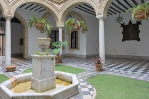 Un patio con una fuente, plantas en macetas y un suelo a cuadros.