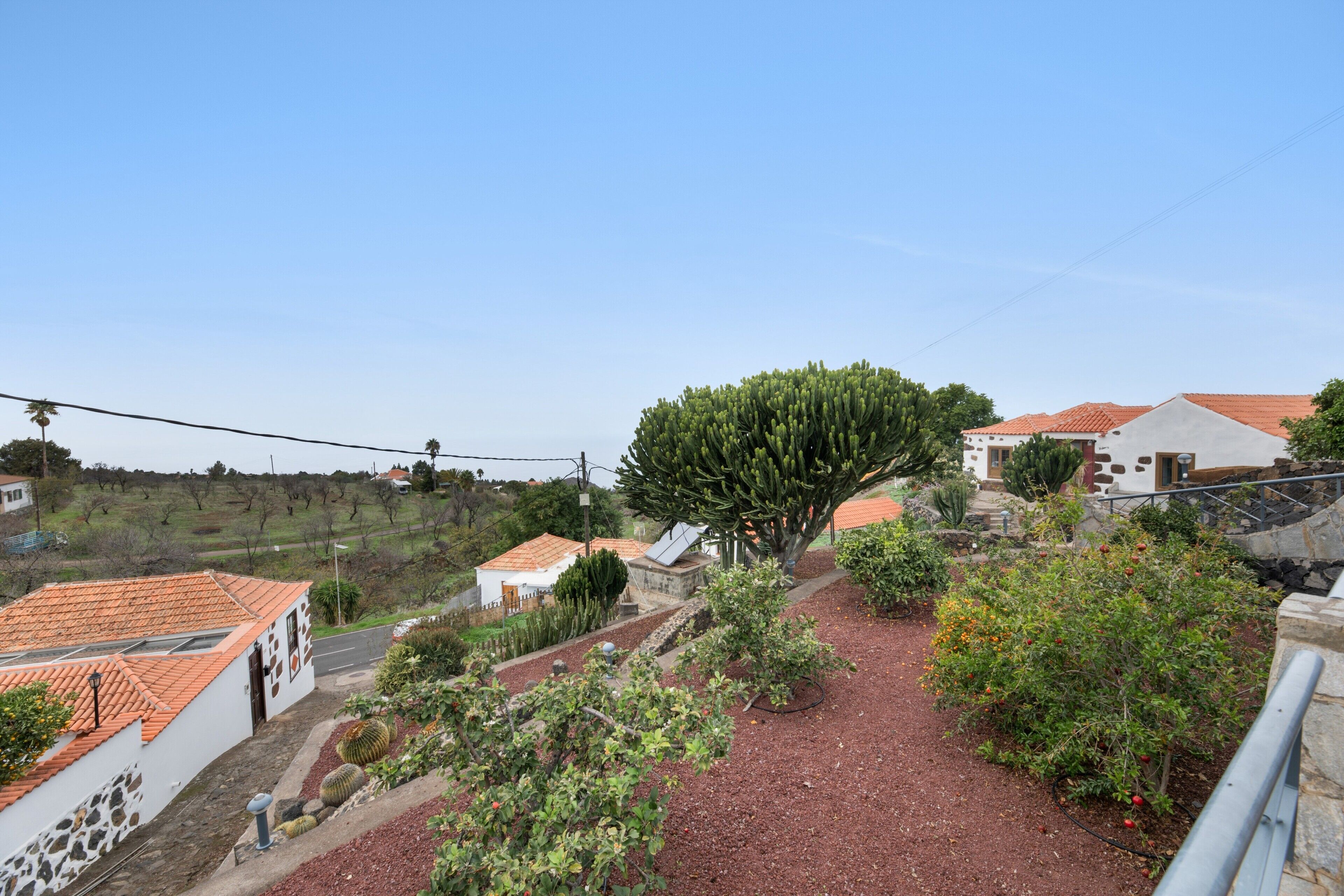A rural landscape with a large tree, a white building with a red roof, and a stone wall.
