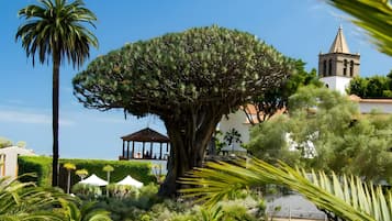 Overnatningsstedets område