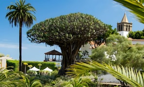 A large tree in a garden with a gazebo and a bell tower in the background. - Casa Rural 'Casa Rural Kiko' with Mountain Views, Private Terrace & Wi-Fi (Icod de los Vinos)