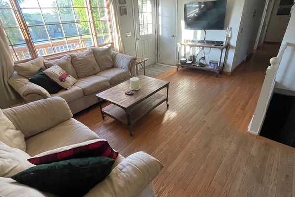 TV, DVD player, video library