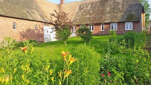 Un bâtiment traditionnel en briques, doté d’un toit de chaume, d’un petit jardin agrémenté de fleurs et d’arbustes, et surplombé d’un ciel dégagé.