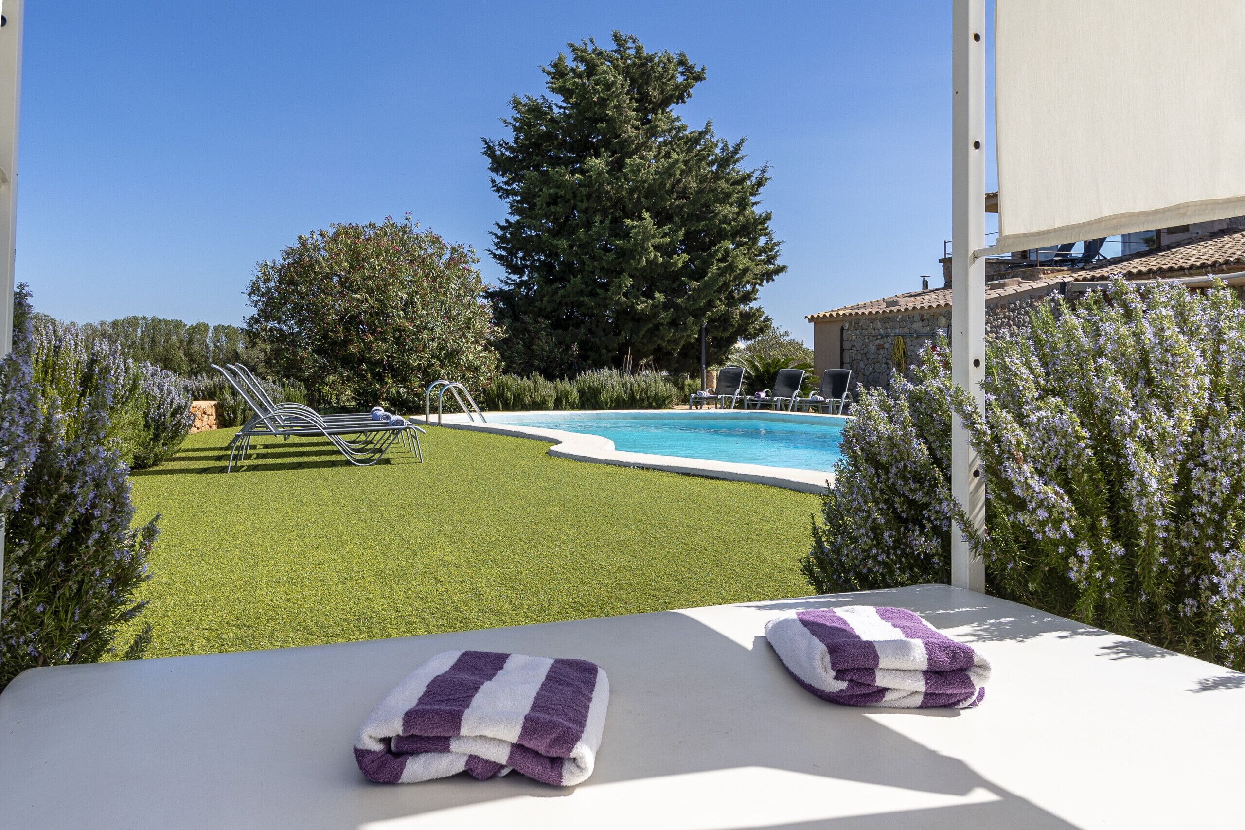 A poolside area with a clear view of the pool, a lawn, and a large tree.