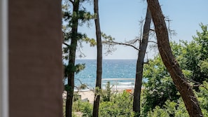 A view of the ocean through trees, with a beach and a white structure in the distance. - Gangneung Funny Group Pension (Gangneung)
