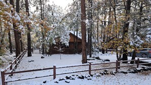 A cabin surrounded by snow-covered trees and a wooden fence. - Garden Cabin with Fenced Yard and AC (Pinetop)