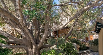 Holiday House in Inca With Swimming Pool