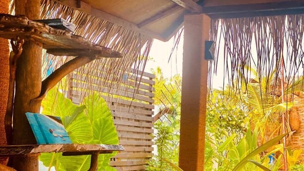 An outdoor seating area with wooden furniture, including chairs and a bench, surrounded by lush greenery and a thatched roof structure.