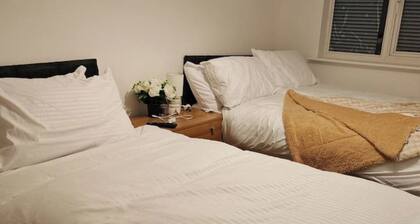 Comfortable and Nice Room for 3