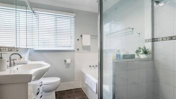 Hair dryer, towels, soap, shampoo