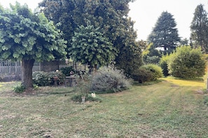 A garden with various trees and shrubs, a white fence, and a small structure.