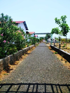 Vue sur le paysage depuis l’hébergement 