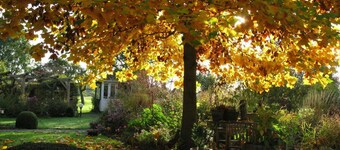 Ferienhof Gester Comfortable Holiday Residence