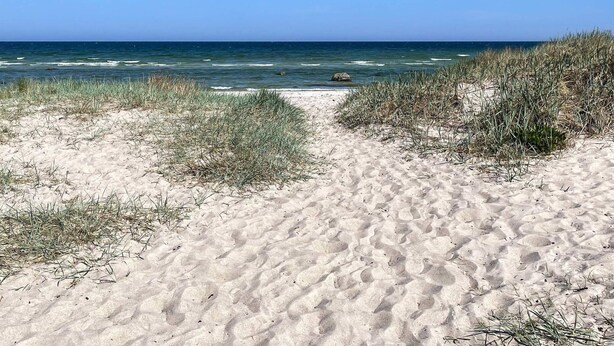 A sandy beach path leading to the ocean, with sparse vegetation on either side. - 7 Person Holiday Home in Lottorp (Löttorp)