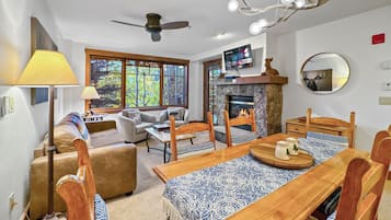 Smart TV, fireplace, books