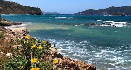 Villa Carla Comfortable Holiday Residence